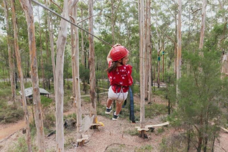 Pemberton: 2.5h Ultimate Ziplines & High Ropes Experience - Who Will Love This Experience?