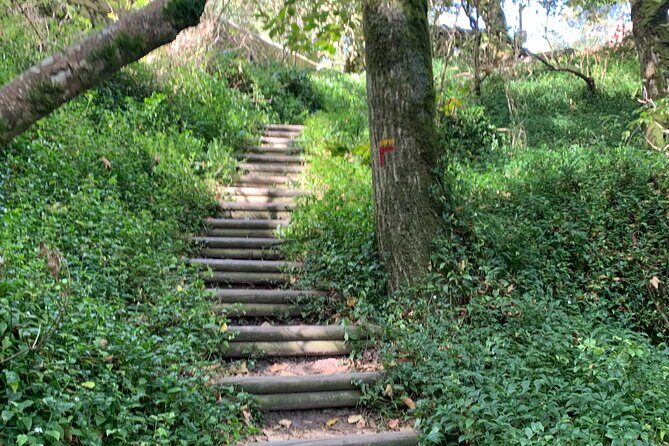 Pena Palace and Park and Vila de Sintra Private Half Day Tour - Pricing and Value