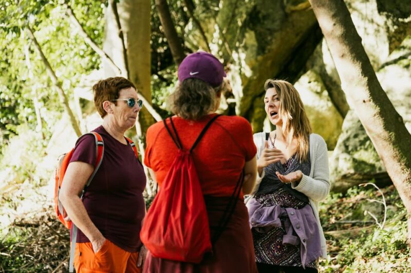 Pena Palace, Moorish Castle,Quinta ad Regaleira:Walking tour - Authentic Engagement: What Travelers and Guides Say