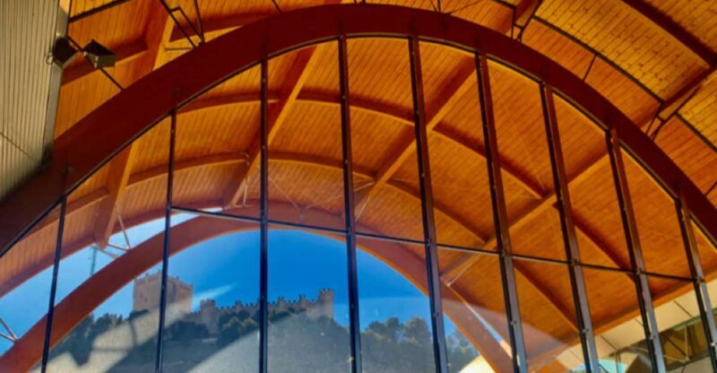 Peñafiel . Visita privada Castillo y casco Histórico - The Full Scoop: What to Expect from Your Peñafiel Private Tour