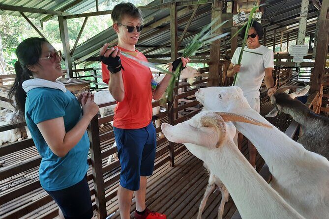 Penang Countryside Cycling Tour. PPA2 by Matahari - Why This Tour Stands Out