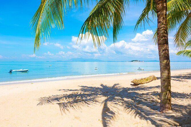 Penang Full Day Tour - An In-Depth Look at the Penang Full Day Tour