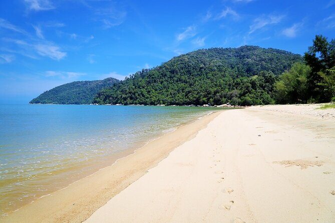 Penang Full Day Tour - Final Thoughts: Is This Tour Right for You?