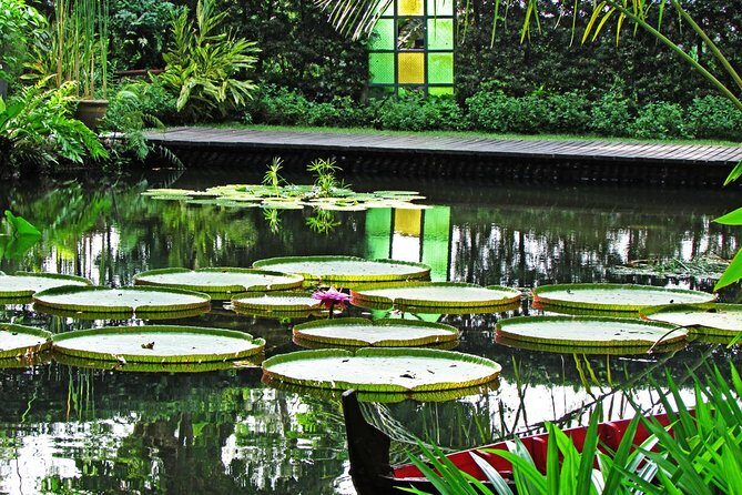 Penang Round Island Tour With Tropical Spice Garden & Entopia Butterfly Farm - Who Will Love This Tour?