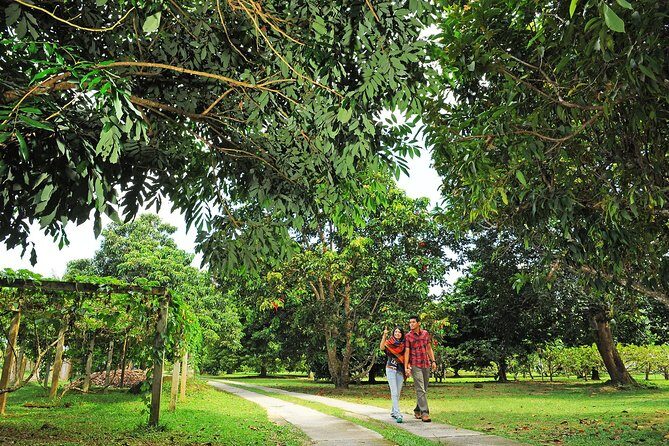 Penang Tropical Fruit Farm with Fruit Tasting - The Value of the Experience