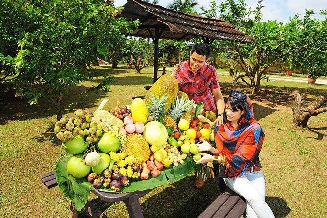 Penang Tropical Fruit Farm with Fruit Tasting - The Sum Up