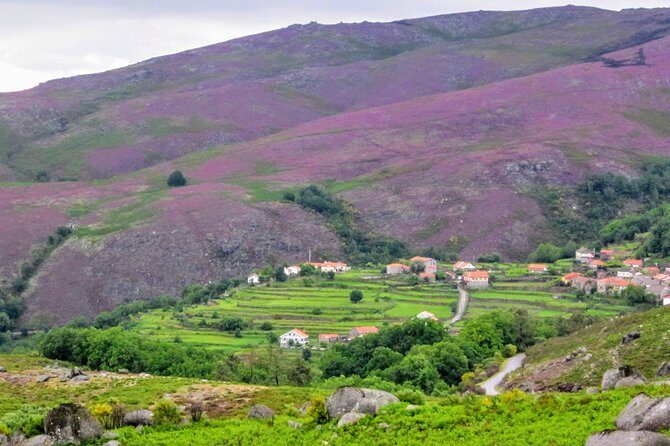 Peneda-Gerês Hiking & Sightseeing: Private Experience - Final Thoughts: Is It Worth It?