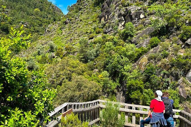 Peneda - Gerês National Park Lagoons and Waterfalls Tour - Discovering Portugal’s only National Park