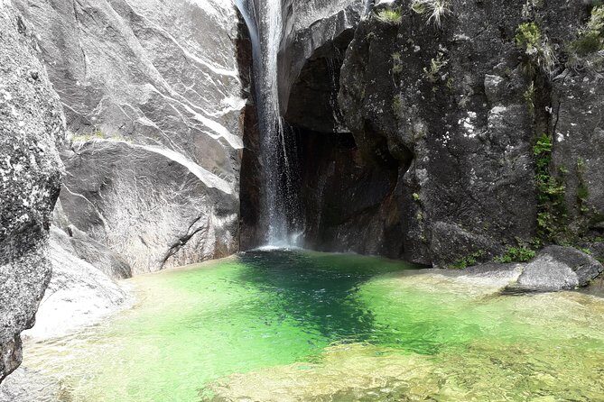Peneda-Gerês National Park - Nature & Tastings - - A Complete Look at the Peneda-Gerês Experience