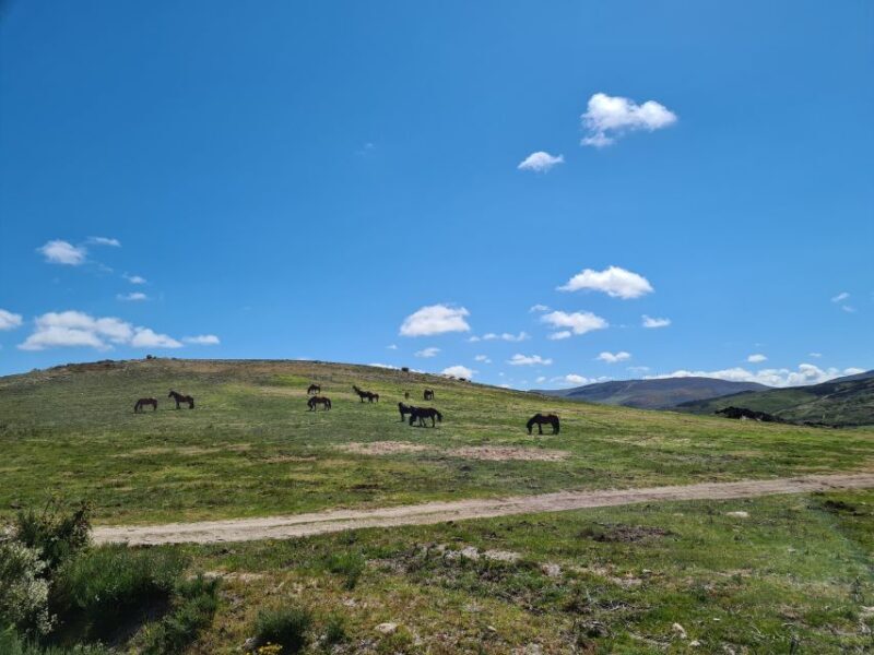 Peneda Gerês National Park: Self-Guided Electric Bike Tour - Key Points