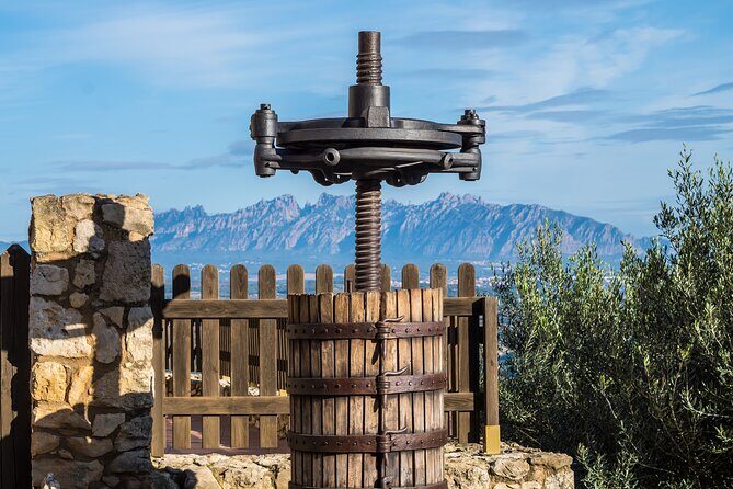 Penedes and Cava Winery Small Group Tour - The Sum Up: Who Should Consider This Tour?
