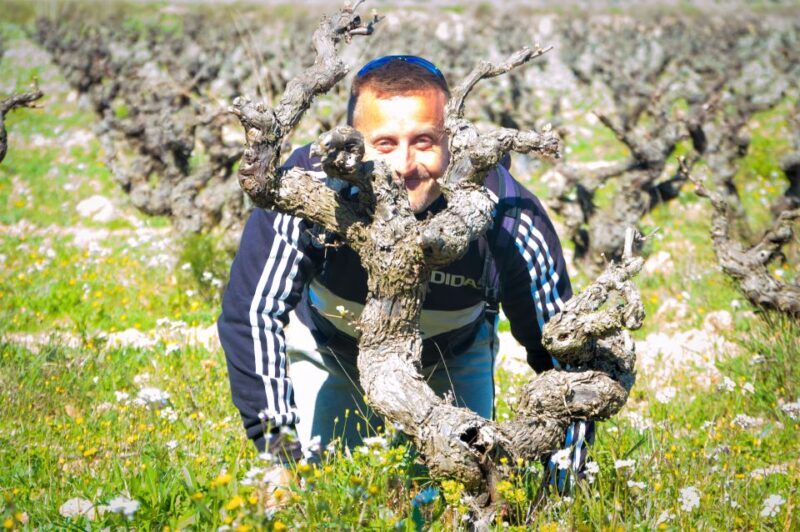 Penedès/BCN: Self-Guided eBike Tour with guided Winery Visit - An Authentic Way to Discover Penedès by Bike