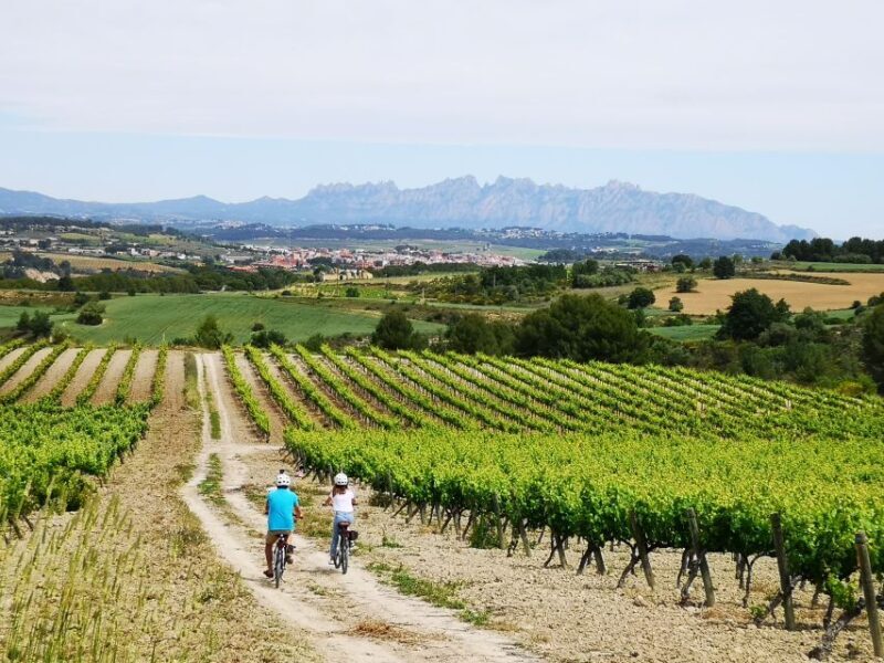 Penedès/BCN: Self-Guided eBike Tour with guided Winery Visit - The Boutique Winery Experience