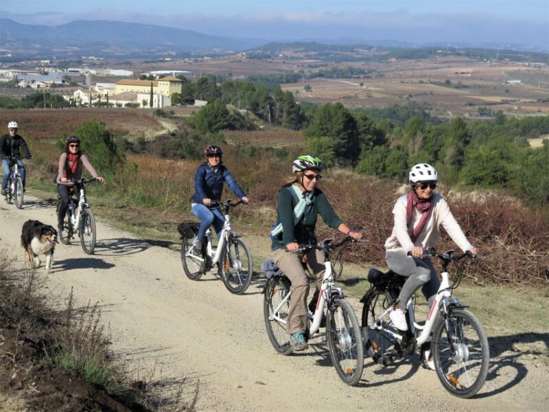 Penedès/BCN: Self-Guided eBike Tour with guided Winery Visit - Practical Details and Considerations