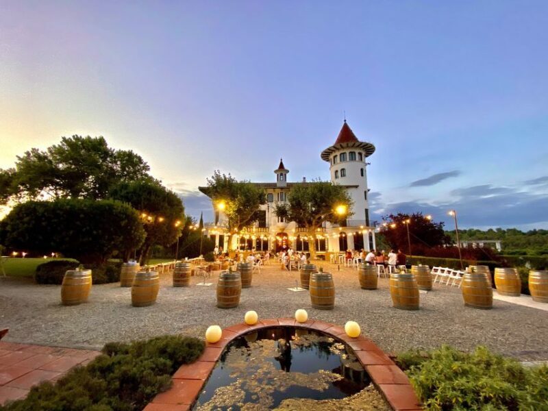 Penedès: Discovery Tour with Cava Tasting - What Could Be Improved