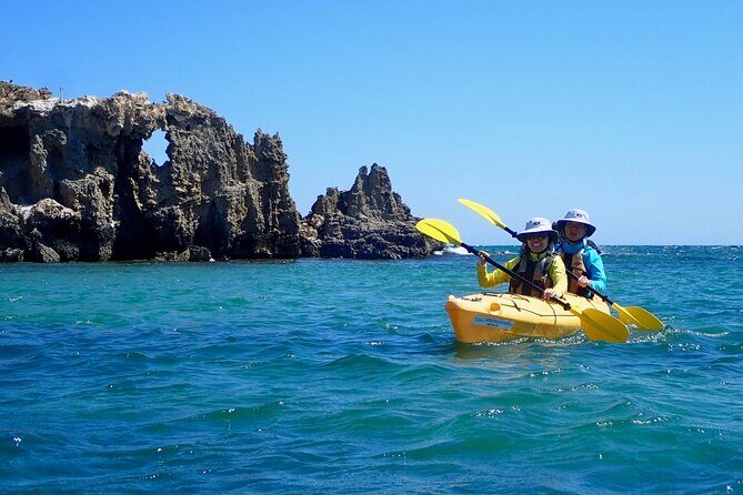 Penguin and Seal Islands Sea Kayaking Experience - Exploring the Details: What You Can Expect