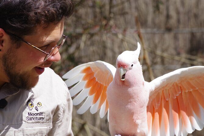 Penguin Parade, & Wildlife Encounters Eco Tour from Melbourne - What’s Missing? The Food and Timing