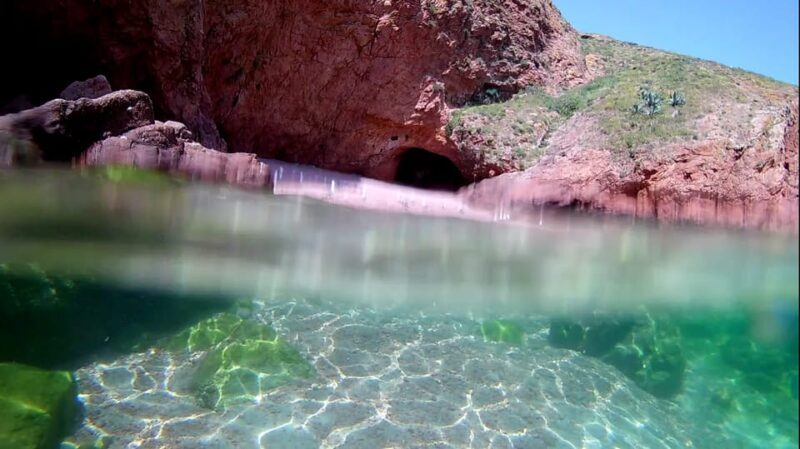 Peniche: Berlengas Island Catamaran Tour + Snorkeling - Comparing Value and Experience