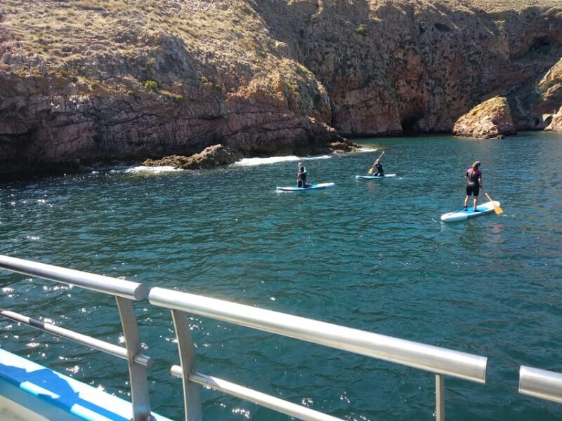 Peniche: Berlengas Island Catamaran Tour + Stand Up Paddle - The Practical Side: Pricing and Value