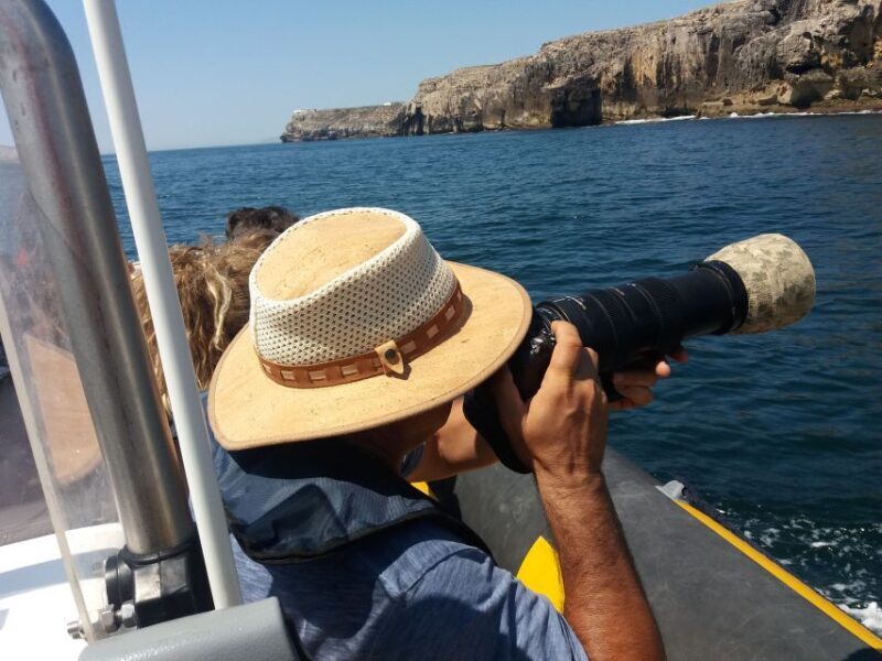 Peniche: Dolphin Route Boat Trip - An Honest Look at the Experience