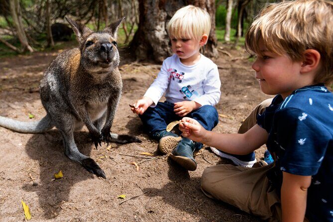 Peninsula Nature Tour - Who Should Consider This Tour?