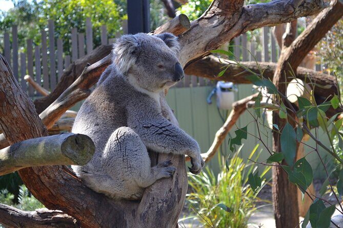 Peninsula Nature Tour - FAQ