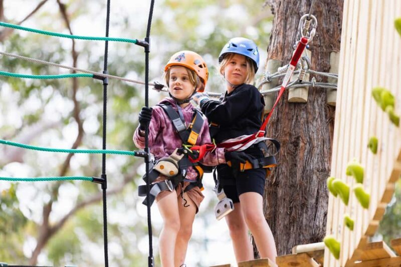 Pennant Hills: Junior Tree Ropes Course - What To Expect During Your Visit