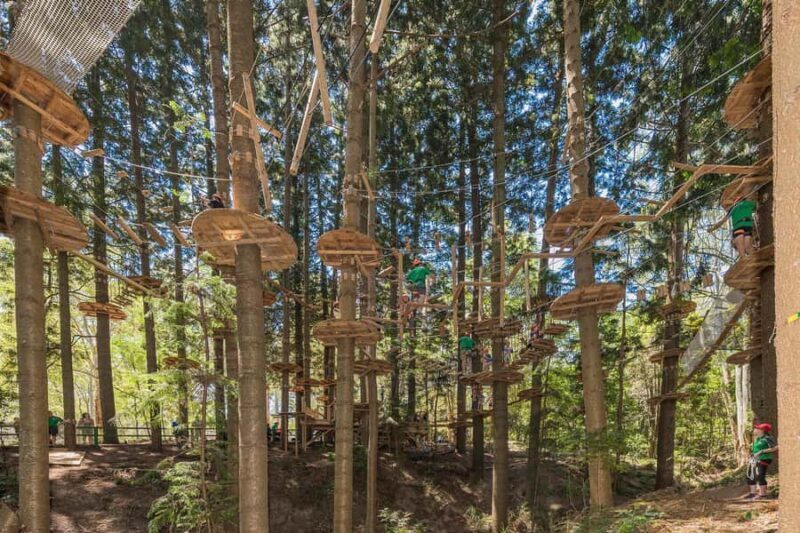 Pennant Hills: Tree Ropes Course Session - An Authentic Forest Challenge Close to Sydney