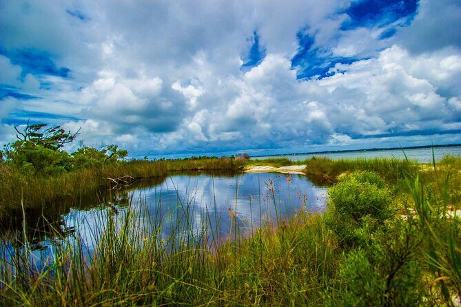 Pensacola Beach Fort Pickens Dolphin Cruise Tour - Why This Tour Offers Good Value