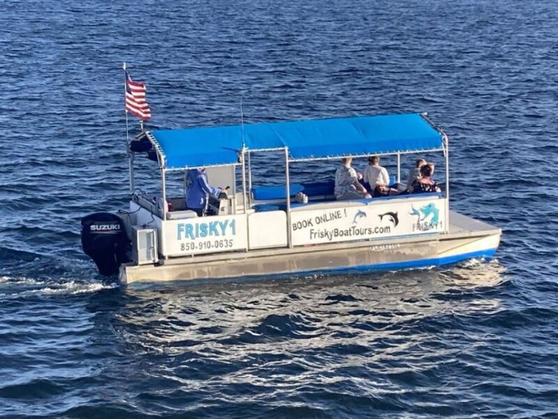Pensacola Beach Sunset Dolphin Tour private up to 6 ppl - An Authentic Look at Pensacola Beach’s Sunset Dolphin Tour