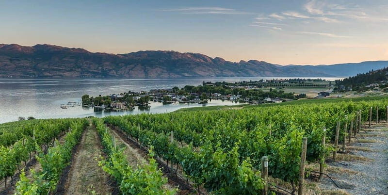 Penticton: Naramata Bench Full Day Guided Wine Tour - FAQs
