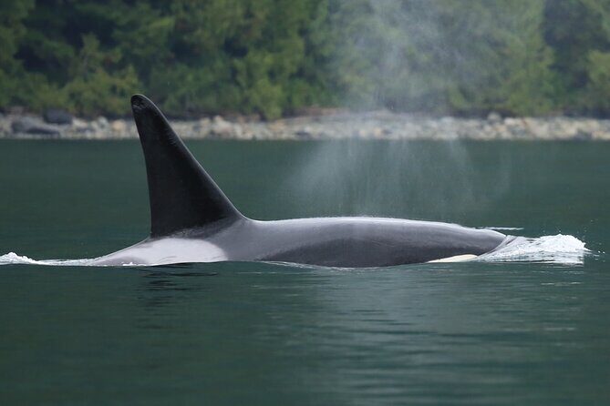 People Water Land- Indigenous Cultural and Wildlife Tour - Practical Details and What to Expect