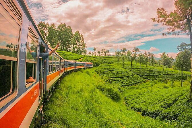 Peradeniya to Nanu Oya train ride on (Train No: 1001 "Denuwara Menike") - Who Should Consider This Experience?