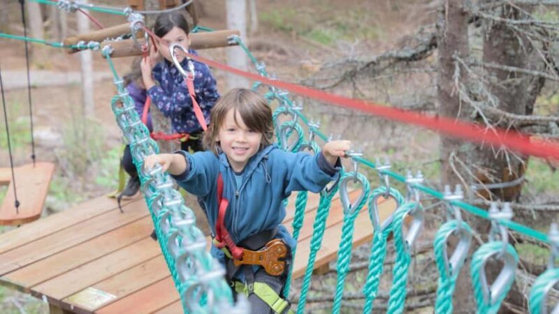 Percé: Folies Boréales  Adventure course in the trees - The Experience in Detail: What Makes It Special