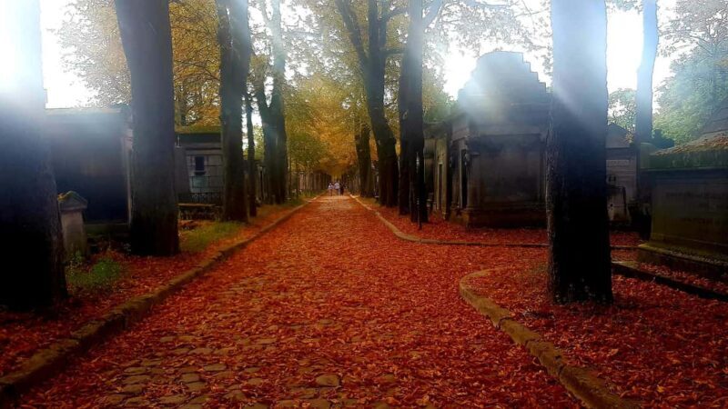 Père-Lachaise : histoires et mystères contés par un comédien - Key Points