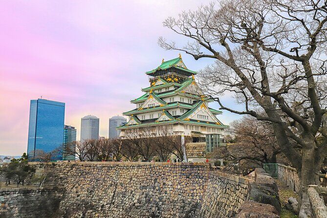Perfect 4 Day West Japan Tour with English Speaking Chauffeur - Nara: The Day of Deer and Temples