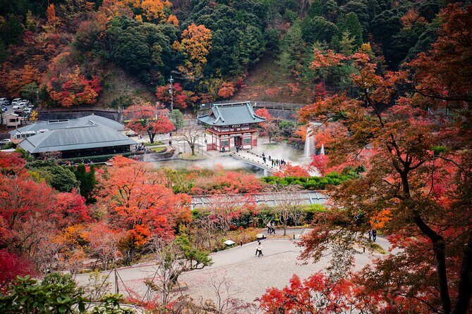 Perfect 4 Day West Japan Tour with English Speaking Chauffeur - FAQs