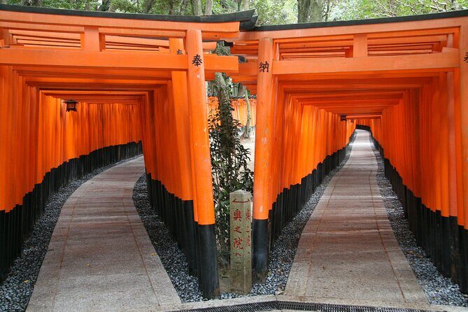 PERFECT KYOTO 1-Day Bus Tour - A Well-Organized Day in Kyoto: What to Expect