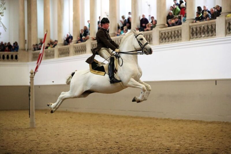 Performance Of The Lipizzans At Spanish Riding School - The Experience: What to Expect from Your Visit
