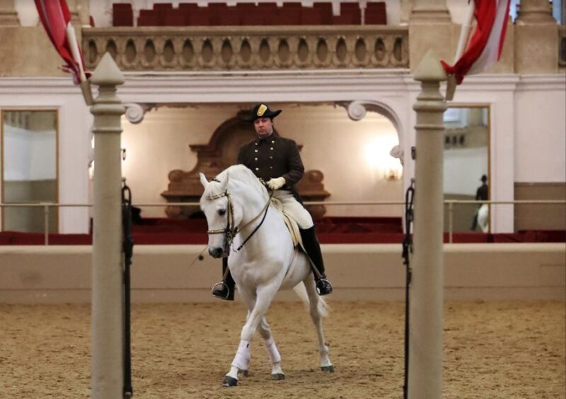 Performance Of The Lipizzans At Spanish Riding School - FAQ