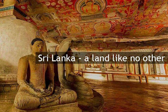 Personal Driver For Your Two Weeks Round Tour In Sri Lanka - Final Thoughts