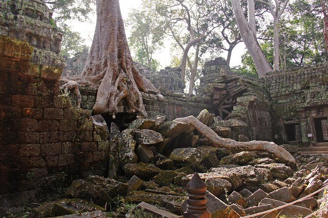 Personalised Angkor Wat Day Tour by an Air-conditioned Car - Practical Tips for Your Day