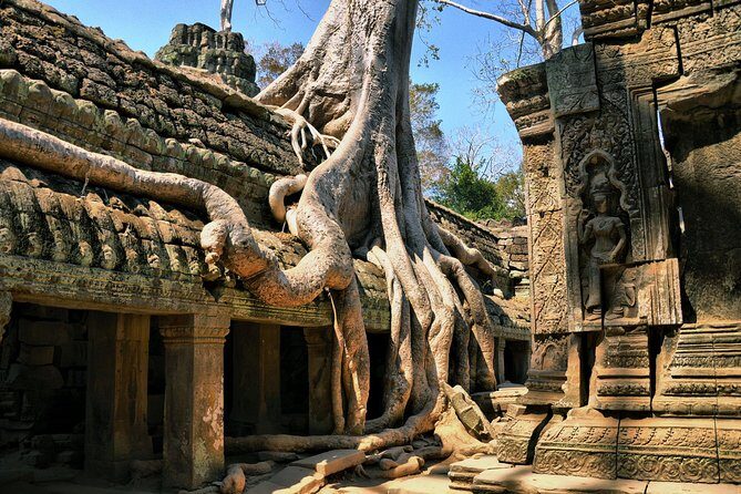 Personalised Angkor Wat Day Tour by an Air-conditioned Car - Who Is This Tour Best For?