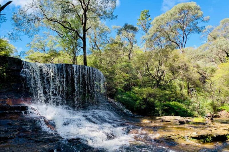 Personalised Blue Mountains Tour: Luxury Vehicles & Insights - The Itinerary and What Makes It Unique