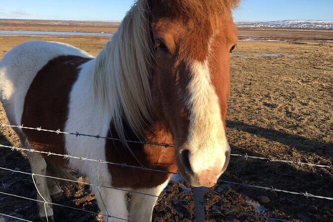 Personalised Travel Plan and itinerary for Iceland - Practicalities to Keep in Mind