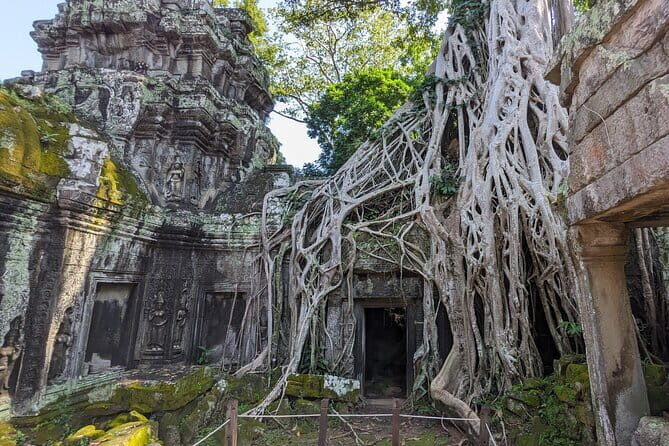 Personalized Angkor Wat Sunrise Day Tour by Tuk Tuk - Final Thoughts on Value and Experience