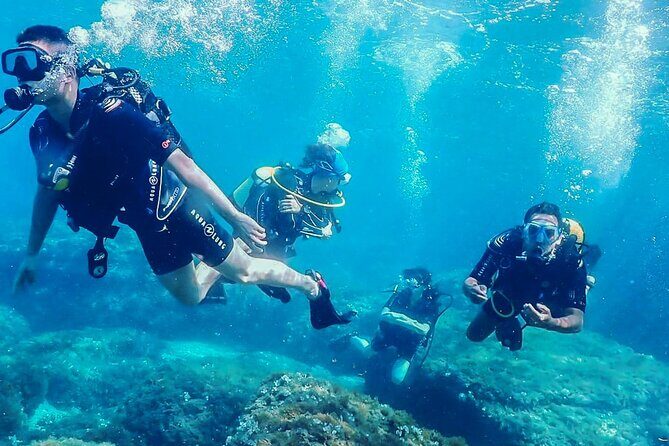 Personalized Diving and Snorkeling in Riviera Maya - Personalized Diving and Snorkeling in Riviera Maya: A Detailed Review