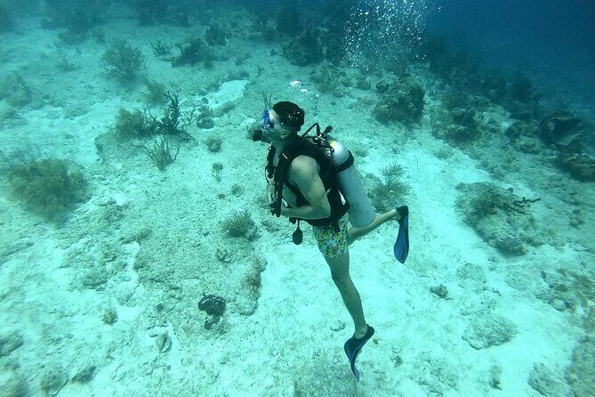 Personalized Diving and Snorkeling in Riviera Maya - The Sum Up: Is It Worth It?