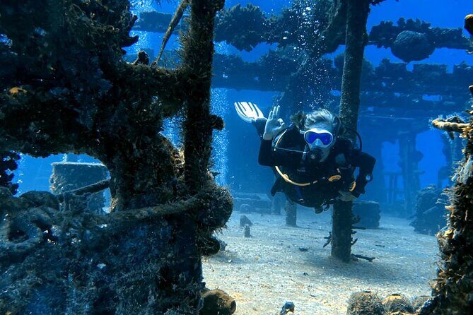 Personalized Snorkeling and Diving Experience in Riviera Maya - Price and Overall Value