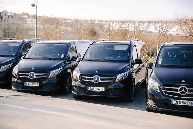 Personalized Transport service from Disneyland to Paris - Who Should Book This Service?